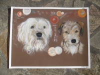 /album/galerie-photos/photo-1608-jpg/